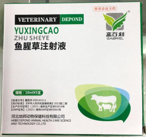 魚腥草注射液-清熱解毒，消腫排膿,利尿通淋-河北地邦