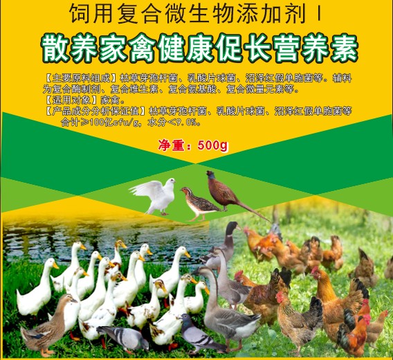 散養(yǎng)家禽健康促長(zhǎng)營(yíng)養(yǎng)素，散養(yǎng)土雞土鴨促長(zhǎng)營(yíng)養(yǎng)素，散養(yǎng)土蛋雞增產(chǎn)保健營(yíng)養(yǎng)素