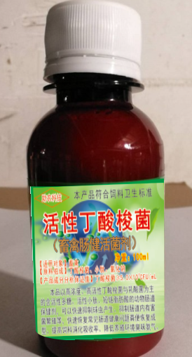活性丁酸梭菌（畜禽腸健活菌劑100毫升裝），腸道保健益生菌中的佼佼者，頑固性腹瀉快速解決方案產品