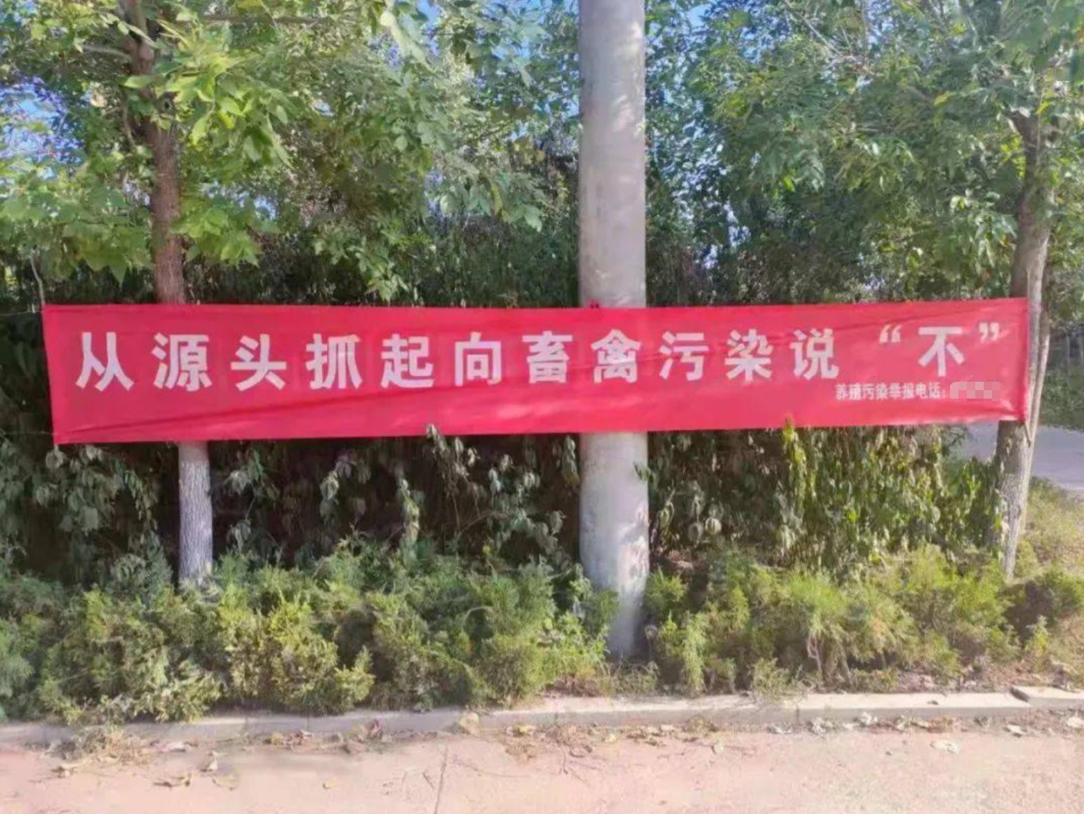畜禽養殖污染治理.jpg