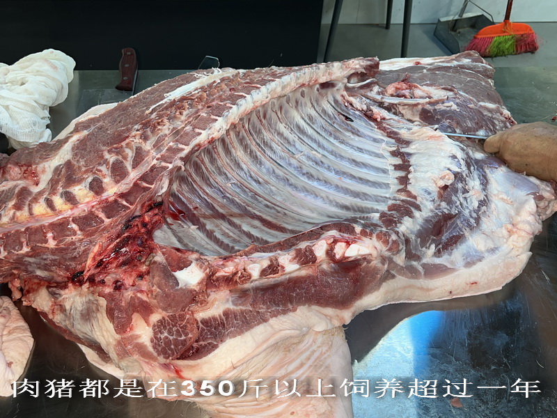 肉豬都是在350斤以上飼養超過一年.jpg